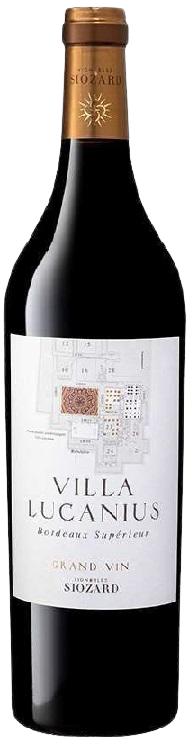 VILLA LUCANIUS GRAND VIN 2019 MAGNUM