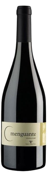 MENGUANTE VIDADILLO 2015